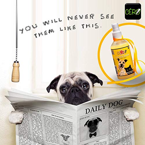 CERO ® Pet Litter Spray Decontaminant Cleanser (Dog/Cat/Others) (200ml) 2