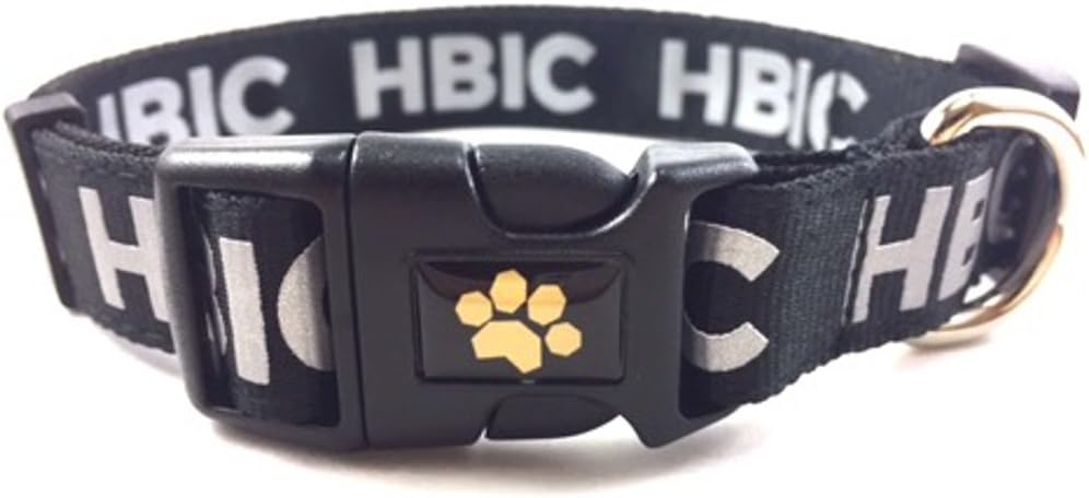 'HBIC' Black and Gray Dog Collar - One Size, Adjustable