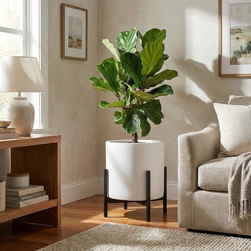FaithLand 12 Inch Fiberstone Planter - Lightweight Modern Cylinder Plant Pot with Drainage Hole & Plug, Indoor Outdoor Use, Matte White by FaithLand - Used condition - Image 5