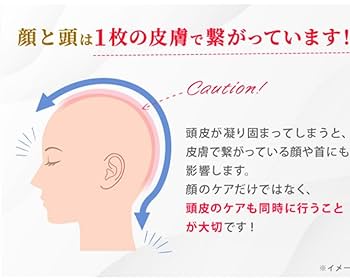 電動リフトブラシ　ドゥライズ　アデランス TVで紹介 アデランス DoRAISE 電気リフトブラシ ドゥライズ 電気
