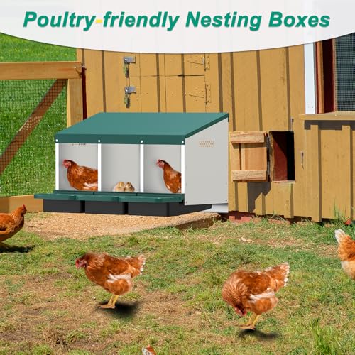 Nichoir à poule en métal M METERXITY à 3 compartiments vert avec œufs