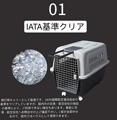 Amazon | 東陽 N&S ペット猫犬スーツケース航空輸送ボックス 旅行犬