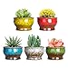 4.3 Inch Cute Ceramic Succulent Planters Cactus Pots Modern Mini Glazed Flower Plants Containers Tiny Pots with Drainage Perfect for Desk or windowsill, Pack of 5