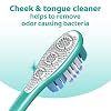 Colgate 360 Whole Mouth Toothbrush, Adult Toothbrushes Medium Bristles, Helps Remove Bad Breath Bacteria and Plaque, Medium Toothbrush Pack, Includes Cheek and Tongue Cleaner, 4 Pack