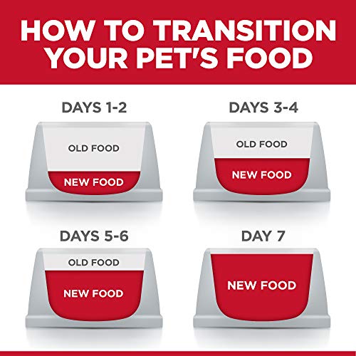 Hills-Science-Diet-Dry-Dog-Food-Adult-Sensitive-Stomach-and-Skin-Small-Bites-Chicken-Recipe