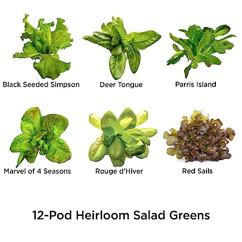 AeroGarden Heirloom Salad Greens Seed Pod Kit (12-pod) - Thumbnail 2
