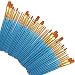 Paint Brushes 50 Pcs, heartybay Nylon Hair Brushes Set Acrylic Blue Round Pointed Paints Brush for Watercolor Oil Painting