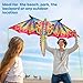 MimoPop 3D Dragon Kites for Adults and Kids, Easy to Fly, Beach Toy, Outdoor Activities, 51