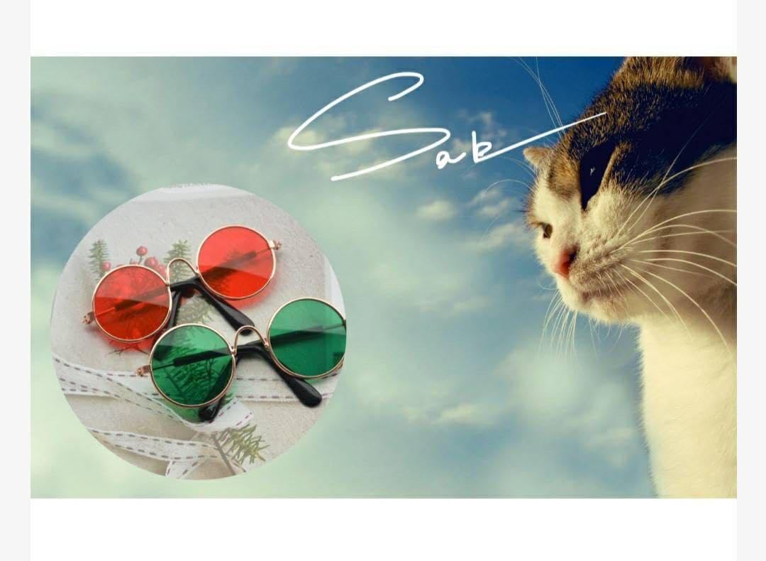 Amazon.co.jp: ぬいぐるみ用 サングラス 赤 レッド ぬいぐるみ メガネ