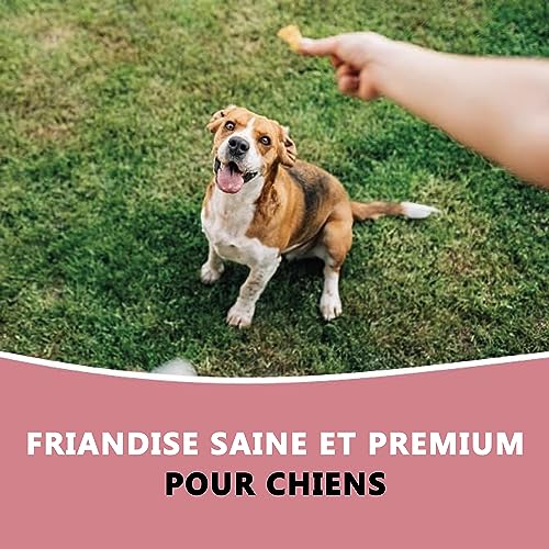 Pets Purest Friandises Naturelles pour Chiens 100% Dinde - Friandises Savoureuses Hypoallergéniques sans Céréales, Faibles en Matières Grasses et Riches en Protéines pour Chiens, Chiots et Seniors - Image 7