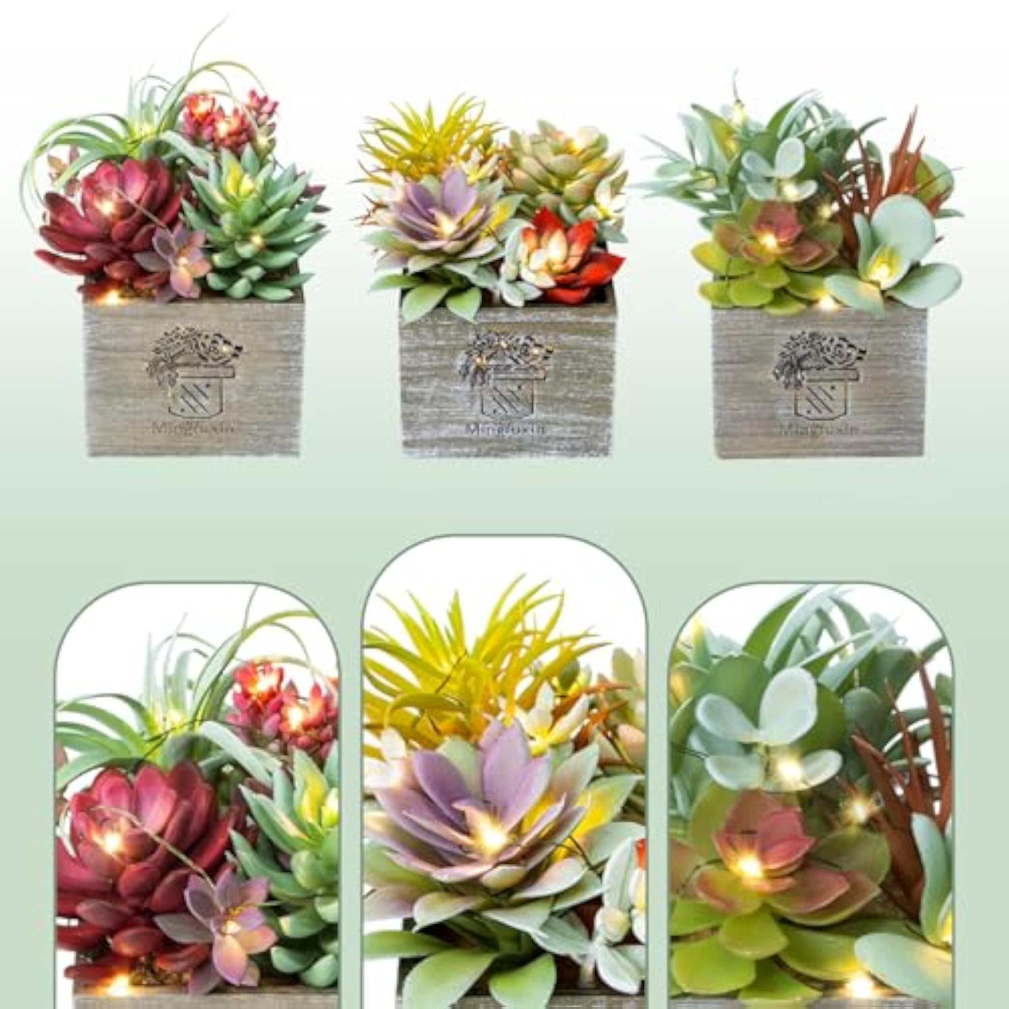 Succulents Plants Artificial with Light for Home Office Decor