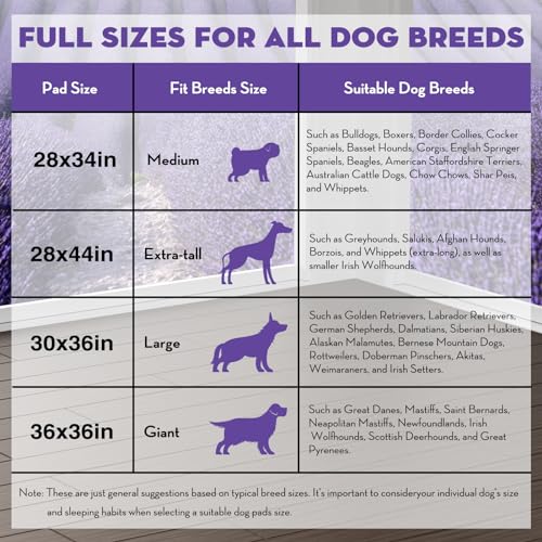 Image of CROCI Dog Pads Extra Large 28x44in, Puppy Pads with Adhesive Tabs Super Absorbent Up to 12 Cups, Disposable (30 Counts)