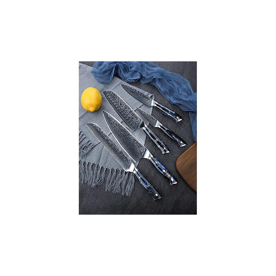 SANMUZUO Chef Cooking Knives Set- Kitchen Knife Set of 5 Piece - Ultra-Sharp VG10 Damascus Steel & Resin Handle - Xuan Series (Starry Black)