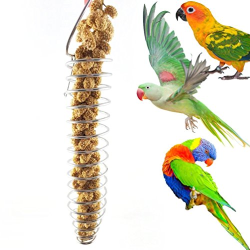 Vogel Fruit Houder RVS Plantaardige Spies Feeder Gereedschap voor Papegaai Budgies Parakeet Cockatiels Cage, Foraging… - Afbeelding 3