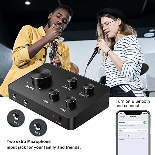 Rybozen K201 Wireless Microphone Karaoke Mixer System, Dual Handheld Wireless Microphone For Karaoke, Smart Tv thumb #2