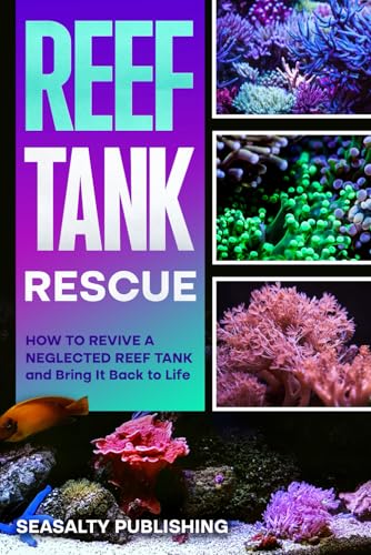 Reef Tank Rescue: How to Revive a Neglected Reef Tank and Bring It Back to Life