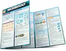 PHYSIOLOGY Quick Study Academic 生理学 Physiology QuickStudy Laminated Reference Guide (QuickStudy