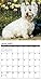 Just Westies 2016 Calendar