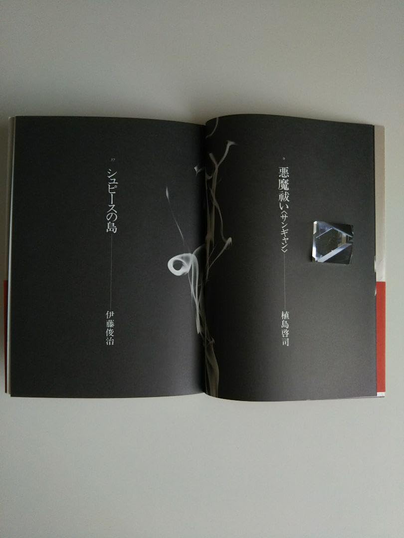 バリ禁忌、祝祭のカタルシスの本。著者(植島啓司/伊藤俊治)アートスペース美雷樹。 バリ禁忌、祝祭のカタルシスの本。著者(植島啓司/伊藤俊治