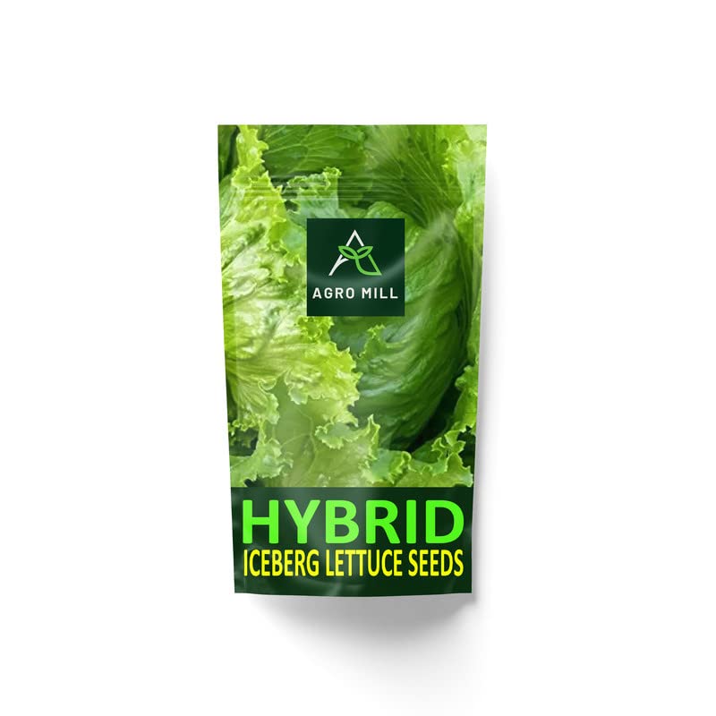 AGO MILL HYBRID F1 ICEBERG LETTUCE/SALAD PATTA SEEDS FOR HOME KITCHEN GARDEN (40 PER PACKET).48 (B0BTTLRG8F) Amazon Price History, Amazon Price Tracker