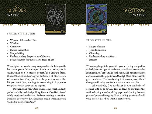 The Wild Elemental Oracle: (Oracle Kit Box Set with 44 Cards and Guide Book) - Image 7