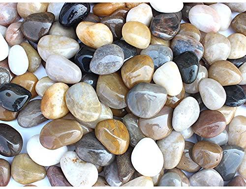 Kiesel Natur Deko Polierte Deko Steine Naturkiesel Kies für Garten Steine 2-4 cm 900g Kiesel Garten/Aquarien/Pflanzendeko