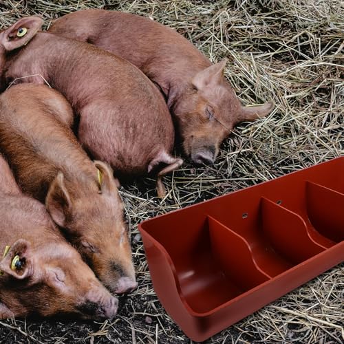 Mangeoire en plastique 4 compartiments pour porcs et chèvres