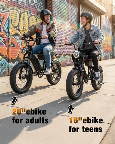 Hopepeak D10 Fat Tire E-Bike