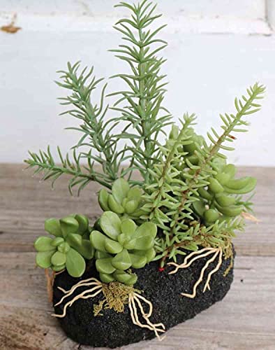 artplants.de Arreglo de suculentas Artificiales Bambi en Bola de Tierra, Verde, 19cm - Suculenta de plástico
