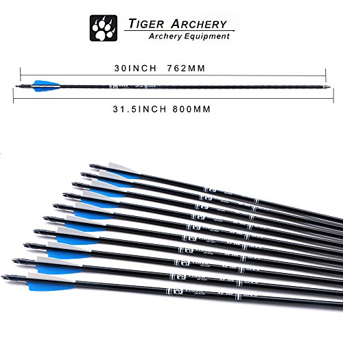 Tiger Archery 30inch Fiberglass Arrow with Replaceable Arrowhead Spine 500 for Recurve and Compound Bow Hunting and Practice Hunting(Pack of 12) - Thumbnail 6