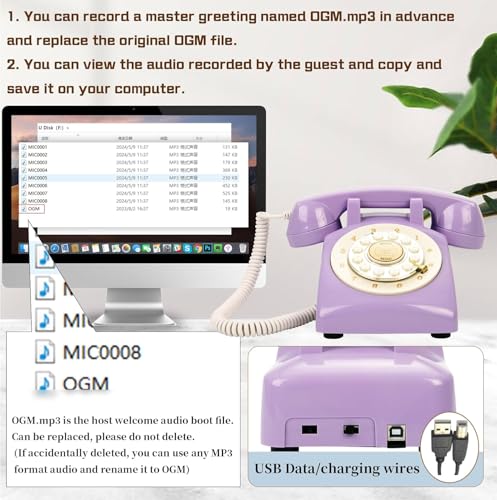 Image of Audio Guest Book Wedding Phone,32GB Memory Customized Audio Messages, Volume Adjustable, with Message Replay Feature, Suitable for All Kinds of Party(Purple+Golden Sign)