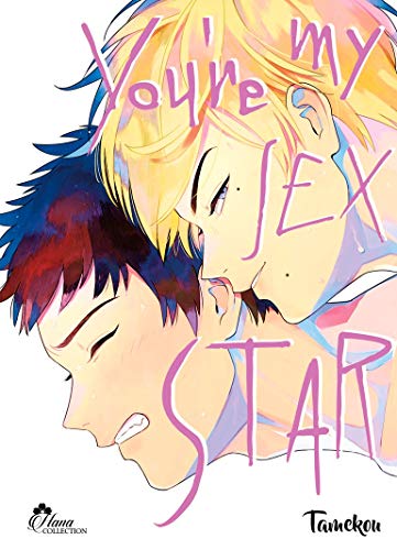 You're my Sex Star — Tome 2