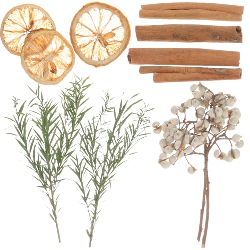 Material de flores secas para manualidades y decoración miniatura 1