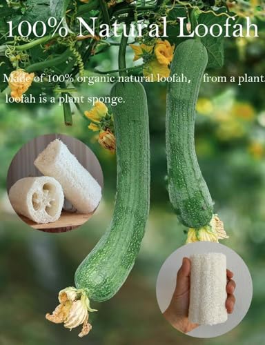 Image of 4 inch Plant Sponge 100% Natural Loofah Dish Sponges, Natural Dishwashing Sponges for Kitchen, Kitchen Scrubber Loofahs - 12 Pack