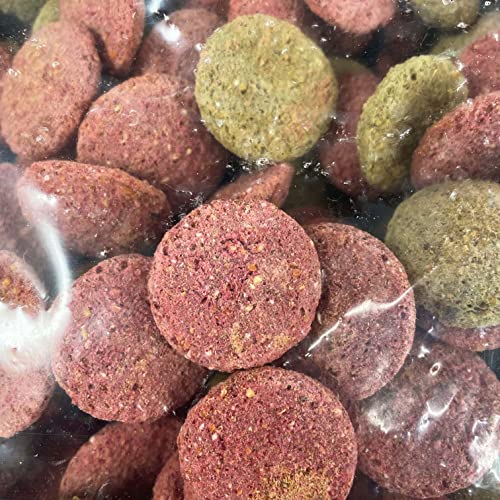 PANTO Leckerli Mix für Pferde Apfel & Karotte 1 kg – leckere Belohnung für Pferde und Ponys in Pelletform, Zwei Sorten Pferdeleckerlis, Pferdefutter Ergänzung