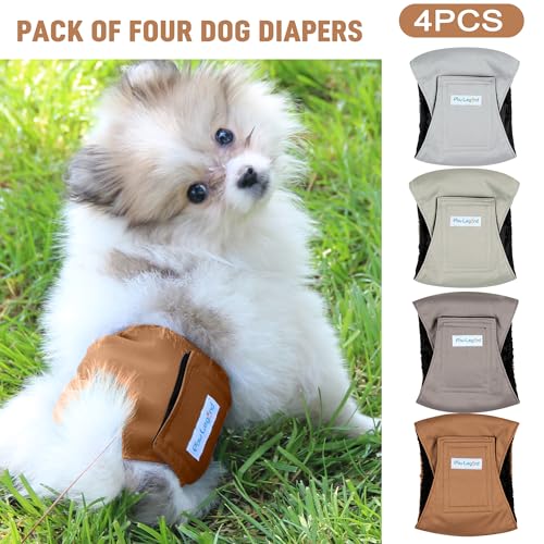 Encuentra reviews de Cosas para perros los diez mejores. 3 Imagen adicional