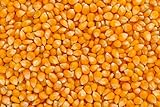Piensos nuge Bolsa 2 Kg maiz en Grano. para alimentación Animal
