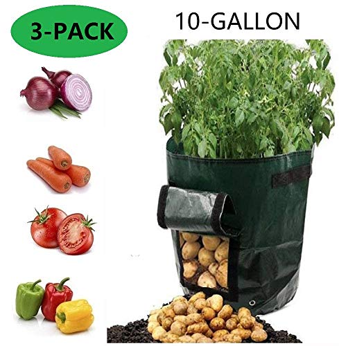 YOQXHY 3 Pack Potato Grow Bags [10 Gallon] Garden Vegetables Planter Bag with Handles and Access Flap for Planting Potato Carrot Onion Taro Radish Peanut, - Thumbnail 6