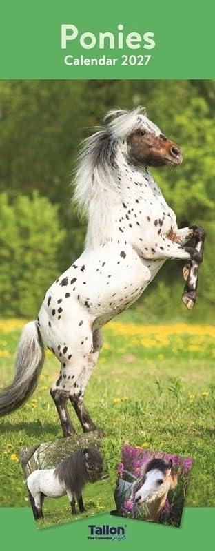 2027 Super Slim Month to View Spiral Bound Hanging Wall Calendar Home Office (Ponies) — image 1