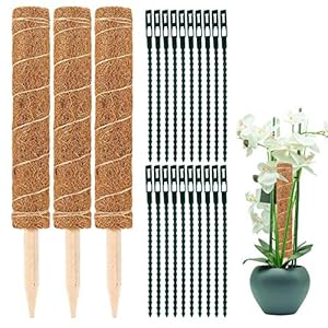 Elinala Plant Stok Kokosnoot, Mos Stok, 3 STKS (30 CM) Tuin Kokos Mos Stok Kokos Mos Totempaal, Plant Klimmen Ondersteuning Totem Met 20 STKS Plant Kabelbinder