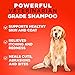 Stratford Pharmaceuticals Keto-C Shampoo for Dogs, Cats, and Horses, Hygienic Chlorhexidine with Ketoconazole and Aloe for Itching, Hot Spots and Ringworm, Cucumber Melon Scent, 1 Gallon