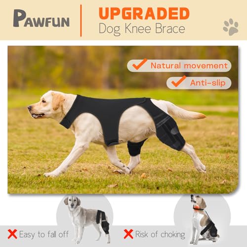 Image of Dog Knee Brace for Hind Legs - Adjustable Dual Dog Leg Brace for Back Leg Helps with Torn ACL /CCL, Luxating Patella, Ligament Injuries, Osteoarthritis,L