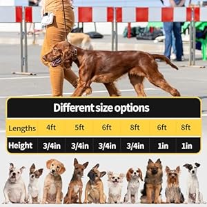 Leather Dog Leash 6ftx34inchbraided Leather Leash for Dogssoft Leather Training Dog Leashstrong Leather Leash for Small Medium Large Breed Dogsbrown  Cucciolini Doodles Leather dog leash 6ftx34inchbraided leather leash for dogssoft leather training dog leashstrong leather leash for small medium large breed dogsbrown   cucciolini doodles