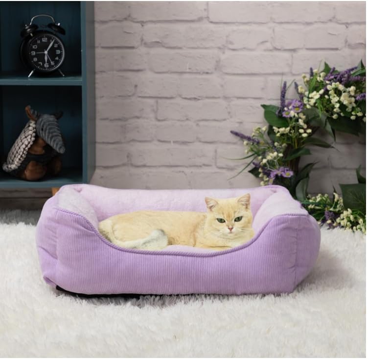 Lit pour chat et chiot respirant avec lit coussin doux et dehoussable