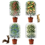 Gartennetz für Heidelbeersträucher, 0,8 x 1 m, mit Kordelzug, Gartennetze, Insektennetz, Pflanzenreihenabdeckungen, Schutzbeutel für Obstbäume, Sträucher, Gemüse, Blumen, Kräuter, 4 Stück