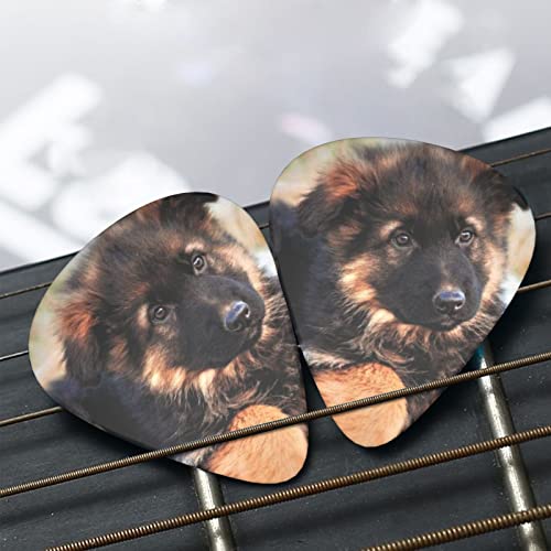 Médiators en celluloïd coloré en forme de chien – 3 épaisseurs différentes – Pour les amateurs de musique – Pour guitare électrique et acoustique – 0,46 mm, 0,71 mm, 0,96 mm - Les Beatles, Paul McCartney, John Lennon, RIngo Starr, George Harrison Médiators en celluloïd coloré en forme de chien - 3 épaisseurs différentes - Pour les amateurs de musique - Pour guitare électrique et acoustique - 0,46 mm, 0,71 mm, 0,96 mm – Image 8