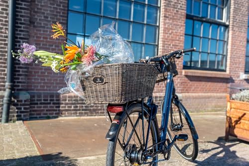 FastRider Fahrradkorb Hinten aus Plastikgeflecht 30L, Hundekorb Fahrrad Hinten für Gepäckträger, Hinterradkorb Inklusive Montage, Wetterbeständig - Braun