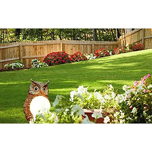 gazechimp Solar Powered Decorative Garden Ornament Animal Birds Caminho Coruja LED Light