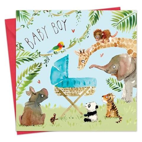 Twizler Baby Boy Congratulations Card Cover