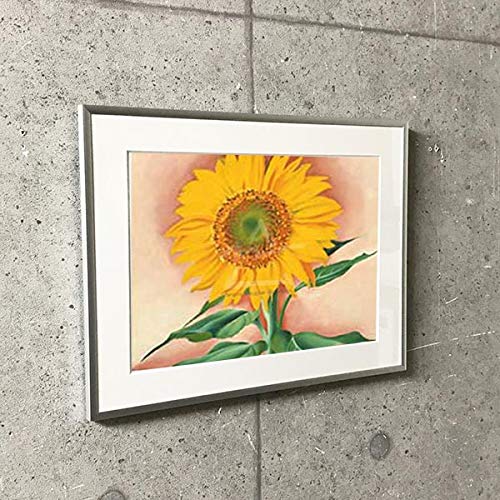 額装品/Sunflowe/ジョージア オキーフ Sunflower New Mexico 1935(ジョージア オキーフ)額装済ポスター
